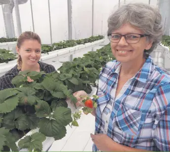  ??  ?? Paule Lebeuf et sa fille Catherine Côté ont eu un coup de coeur pour une terre avant de décider de devenir productric­es de fruits.