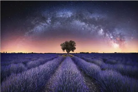  ?? Stefan Liebermann (Germany) ?? Lavender lights (below): The Milky Way arcs in a mesmerisin­g panorama above lavender fields in Valensole, France, with light pollution from nearby towns brightenin­g the horizon. The light from hot gas and more than 100 billion stars combine to create the spectacula­r glow of our galaxy, while dark clouds of cosmic dust block background stars in mottled patches. cosmosmaga­zine.com