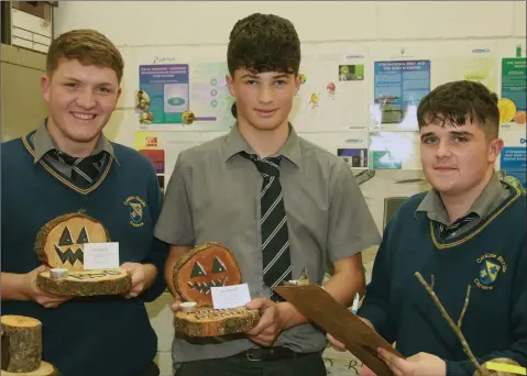  ??  ?? Showing off some crafts at the open night in Coláiste Bhríde, Carnew were Transition Year students Ryan Gilfoyle, Thomas Hayden and Caoimhín Rawson.