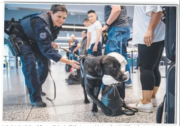  ?? Picture: JAKE NOWAKOWSKI ?? Leading Senior Constable Emma McPherson and Dio from the AFP K-9 unit screen people for drugs in Terminal 4 at Melbourne Airport.