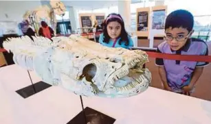  ??  ?? Hafiy Najhan Nazaruddin, 7, (kanan) dan Najwa Husna Nazaruddin, 7, melihat rangka tulang ikan Arapaima.