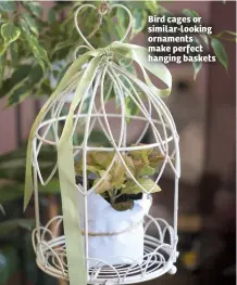  ??  ?? Bird cages or similar-looking ornaments make perfect hanging baskets