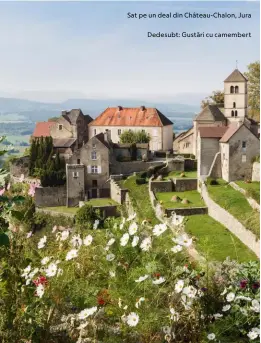  ??  ?? Sat pe un deal din Château-Chalon, Jura
Dedesubt: Gustări cu camembert