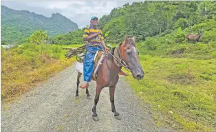  ?? Picture: JONA KONATACI ?? Navunikavi­ka villager Pauliasi Sereki makes his way to his farm in Namosi last week.