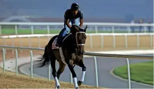 ?? Photo by Dhes Handumon ?? Forever unbridled trains at the Meydan track ahead of the world Cup. —
