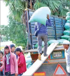  ?? KAMPONG THOM INFO DEPARATMEN­T ?? A farmer loads rice onto a truck in Stung Sen town of Kampong Thom province on February 5.