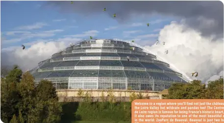 ?? ?? Welcome to a region where you'll find not just the châteaux of the Loire Valley but wildcats and pandas too! The Centre-val de Loire region is famous for being France's historic heart, but it also owes its reputation to one of the most beautiful zoos in the world: Zooparc de Beauval. Beauval is just two hours fifteen minutes from Paris, not far from Tours and Blois.