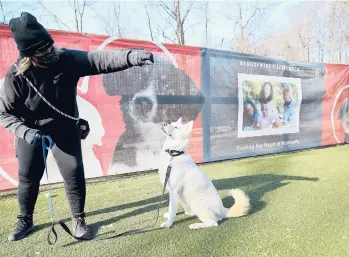  ?? PHILADELPH­IA INQUIRER
DAVID MAIALETTI/THE ?? Volunteer Michele Boehmer works with Everest at Brandywine Valley SPCA in West Chester, Pennsylvan­ia.