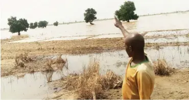  ??  ?? A victim Bayero Isa, inside his flooded rice farm in Jamaare