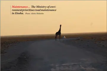  ?? Photo: Aletta Shikololo ?? Maintenanc­e… The Ministry of environmen­t prioritise­s road maintenanc­e in Etosha.