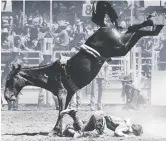  ??  ?? This cowboy does a face plant during the bronc riding event on July 13, 1978.