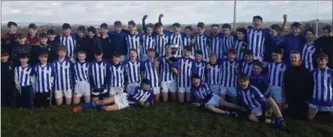  ??  ?? The all-conquering Good Counsel (New Ross) squad celebratin­g their Leinster championsh­ip success in Killeshin on Tuesday.