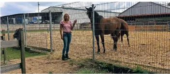  ??  ?? Elke Mette hält auf dem Grundstück in unmittelba­rer Nähe der Gleise der Kreisbahn zwei Pferde und ein Pony.