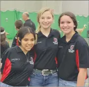  ?? Submitted Photo ?? From left, Howe archers Galilea Duran, Kayleigh Chitwood and Karsyn Burgess.