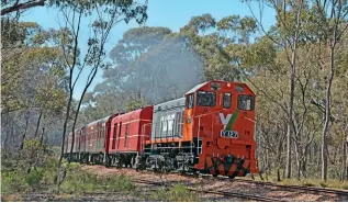  ?? DARREN WOOD ?? No. Y 127 in its new livery, seen on the Victorian Goldfields Railway branch between Castlemain­e and Maldon on October 31, 2021.