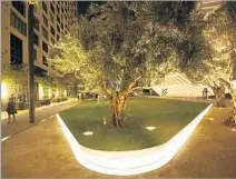  ??  ?? AT NIGHT, Broad Plaza comes to life as an urban garden, a 24,000-square-foot soft spot amid downtown’s hardscapes.