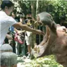  ??  ?? Managing editor Jeffrey Lim makes a friend at the Manila Zoo
