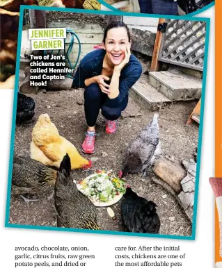  ??  ?? Two of Jen’s chickens are called Hennifer and Captain Hook! JENNIFER GARNER G