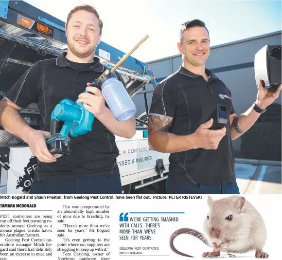 ??  ?? Mitch Bogard and Shaun Preston, from Geelong Pest Control, have been flat out. Picture: PETER RISTEVSKI