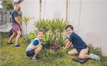  ?? Picture: JERAD WILIAMS ?? Bodhi, 10, Nate, 3, and Adyn Pryer, 8, are ready for the next batch of seeds.