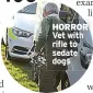  ??  ?? HORROR Vet with rifle to sedate dogs