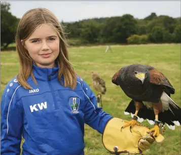  ??  ?? Karla Walsh with a Harris Hawk at the Roundwood Festival.