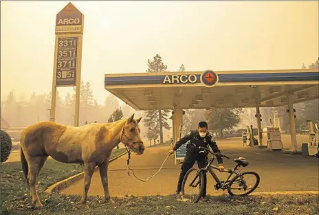  ?? Noah Berger/Associated Press ?? A police officer leads a horse out of the path of a deadly wildfire Friday in Paradise, Calif. Five bodies were discovered in vehicles in the retirement community in the foothills of the Sierra Nevada.