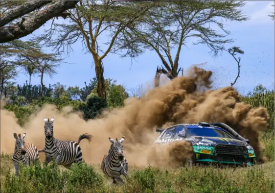  ?? Foto: NICO MEYER ?? SAFARI – PÅ RIKTIGT
Oliver Solberg på inlednings­sträckan i Safarirall­yt i Kenya där zebror vid sidan om undviker bilarna som dundrar fram i hög fart. ”En unik tävling. Varje sträcka kan upplevas som helt olika tävlingar”, säger den 22-årige svensken om det klassiska rallyt.