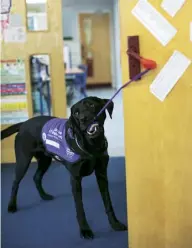  ??  ?? Verlin opening a store-cupboard door in Fiona’s classroom