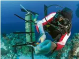  ?? —NOELGUEVAR­AFORLAMAVE­ANDTMO ?? Lamave executive director Gonzalo Araujo makes final adjustment­s on the seventh acoustic receiver in the water of Tubbataha Reefs Natural Park.