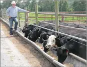  ??  ?? James Reed raises stocker cattle, as well as cow-calf pairs, in his cattle operation, the Culpepper Cattle Co. He recently installed several troughs for feeding the cattle and can feed about 40 head of cattle at each trough.