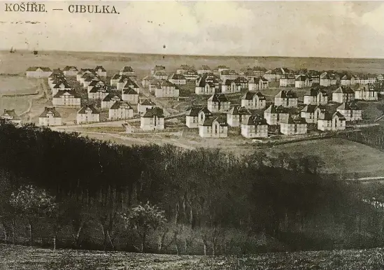  ?? REPRO Z KNIHY ŽIVOT NA CIBULKÁCH ?? Urbanismus. Kolonie Cibulka, jak ji v roce 1927 viděl neznámý fotograf. Dnes by ji viděl jinak. Domy se sice nezměnily, ale jsou zanořené do stromů a zeleně.