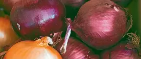  ?? ?? There is a shortage of onions throughout the country.