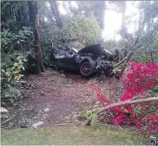  ??  ?? This is what was left of the 2015 Mercedes C66 Coupe that Yue Hui Wang was driving when it crashed into trees on Marine Drive. Wang, 21, was put on probation for two years and ordered to perform 200 hours of community service when he appeared in provincial court Thursday on a charge of criminal negligence causing injury. He also lost his licence for three years.