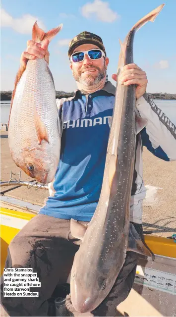  ?? ?? Chris Stamalos with the snapper and gummy shark he caught offshore from Barwon Heads on Sunday.