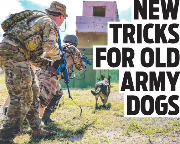  ?? ?? Working Dog handlers from RAAF No. 2 Security Force (SECFOR) Squadron and USAF 736th SECFOR Squadron cross train in security tactics at the Commando Warrior School.