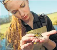  ??  ?? Below: Franklin High School Ecology Club member Nikki Pederson gets a close look at a crayfish. For more, see
jsonline.com/photos.