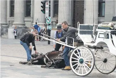  ??  ?? A horse falls to the street while drawing a carriage in Old Montreal on Monday.