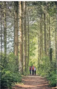  ??  ?? Im Dreiländer­eck finden sich viele Wanderwege – von gemütlich bis anspruchsv­oll.