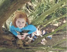  ?? ?? Climbing a tree at Mottisfont. Picture: National Trust