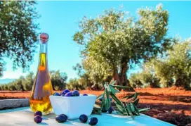  ??  ?? La campaña termina en febrero. El aceite de oliva virgen es uno de los productos más saludables