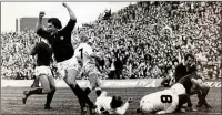  ??  ?? DESPAIR: Winterbott­om (No7) turns in frustratio­n as Calder (left) celebrates Laidlaw’s try during Scotland’s 1983 victory