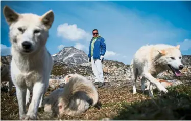  ??  ?? Kunuk Abelsen, 27, with his dogs kept on an island near Kulusuk.