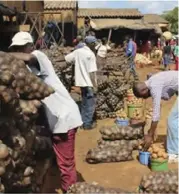  ?? ?? Potato vendors have moved out of the market because of the dwindling space for agricultur­e activities.