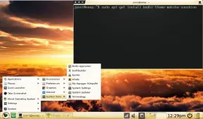  ??  ?? A number of themes are available from Bodhi’s Appstore. This one is called Sunshine. Although quite why is beyond us mere open source mortals…