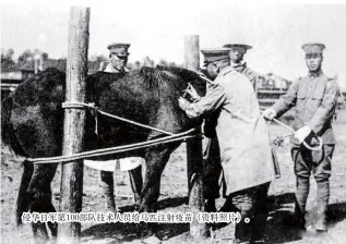 ??  ?? 侵华日军第100部队­技术人员给马匹注射疫­苗（资料照片）。