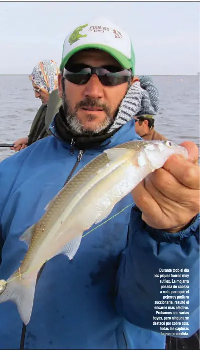  ??  ?? Durante todo el día los piques fueron muy sutiles. La mojarra pasada de cabeza a cola, para que el pejerrey pudiera succionarl­a, resultó el encarne más efectivo. Probamos con varias boyas, pero ninguna se destacó por sobre otra. Todas las capturas fueron en medida.