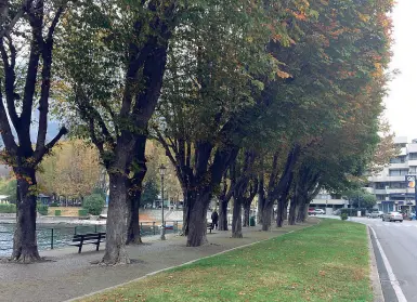  ?? (foto Gerosa) ?? In riva al Lario Il lungolago di Lecco intestato al generale Luigi Cadorna nel tratto della Malpensata