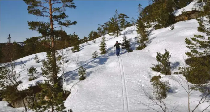  ??  ?? VILLMARKA: Øvre Landvik har fint skiterreng her og der, men dype daler gjør det vanskelig om man ikke er godt kjent.