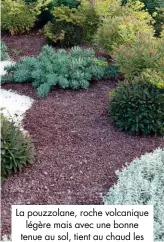  ??  ?? La pouzzolane, roche volcanique légère mais avec une bonne tenue au sol, tient au chaud les racines des plantes les plus exotiques en hiver.